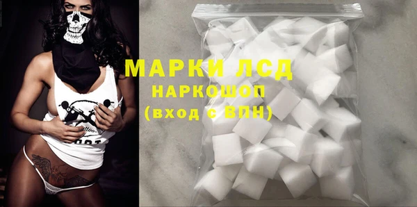 индика Ельня