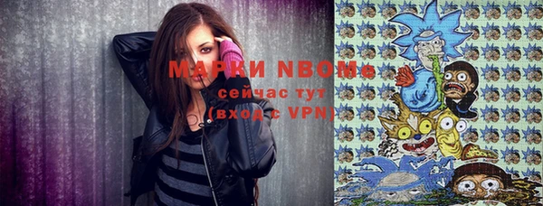 МДПВ Дмитриев