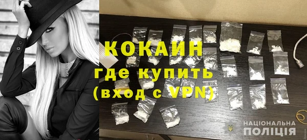 МДПВ Дмитриев
