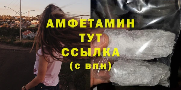 МДПВ Дмитриев