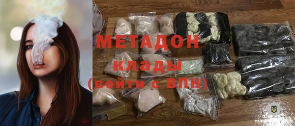 индика Новозыбков