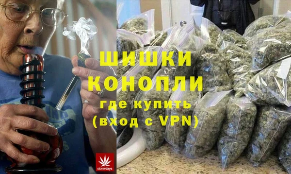МДПВ Дмитриев
