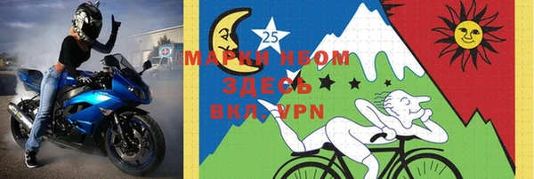 МДПВ Дмитриев